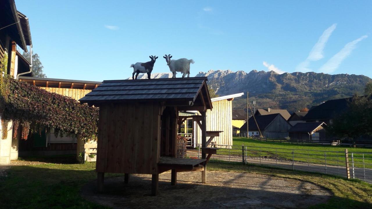 Schusterbauernhof Séjour chez l'habitant Bad Mitterndorf