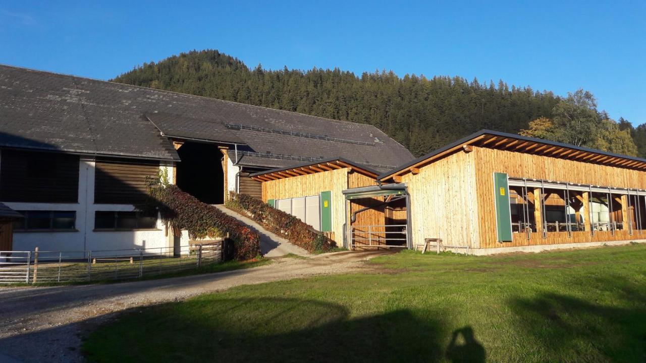 Schusterbauernhof Bad Mitterndorf